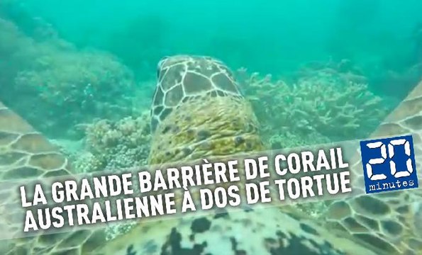 La Grande Barrière de corail australienne à dos de tortue