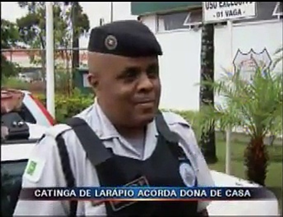 Ladrão fedorento