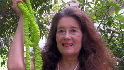 Southern Product Review by Nancy Takes It 2014