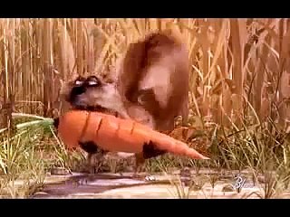 kartun tupai lawak !! (funny cartoon)