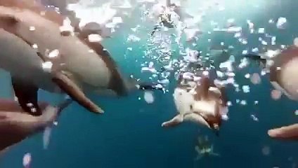 So awesome that even looks unreal!