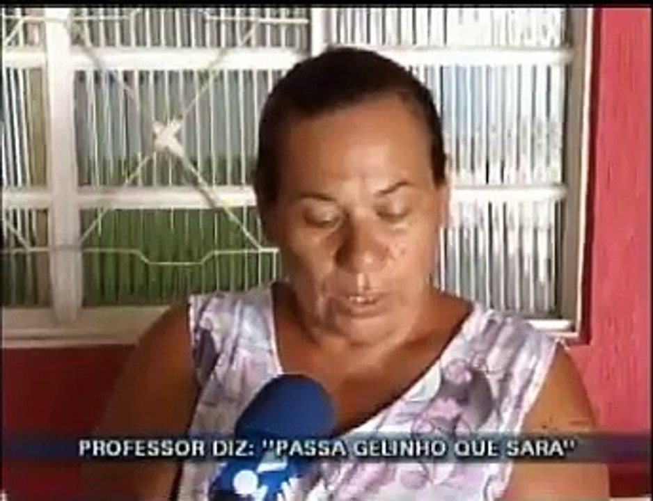 Samambaia
