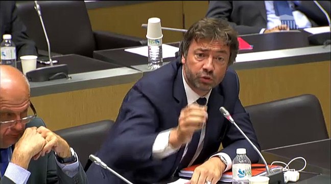 Audition Harlem Désir à la commission des affaires étrangères - 30 juin 2015