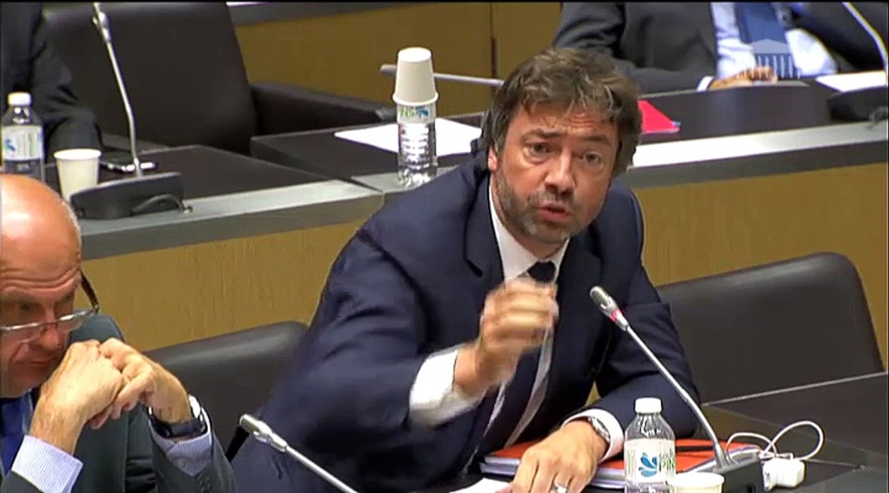 Audition Harlem Désir à la commission des affaires étrangères - 30 juin 2015