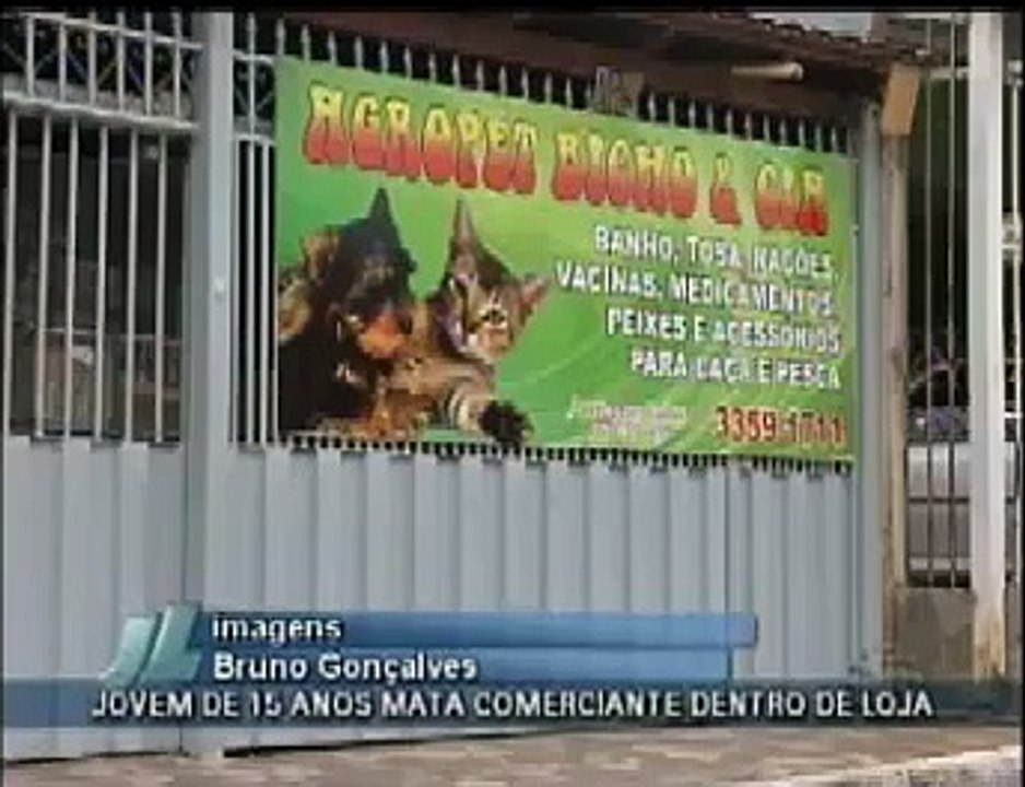 Vingança