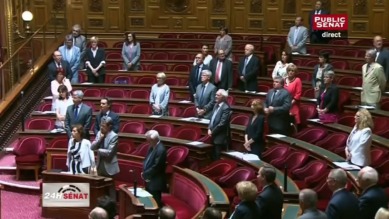 En séance - Projet de loi - Croissance, activité et égalité des chances économiques (01/07/2015)