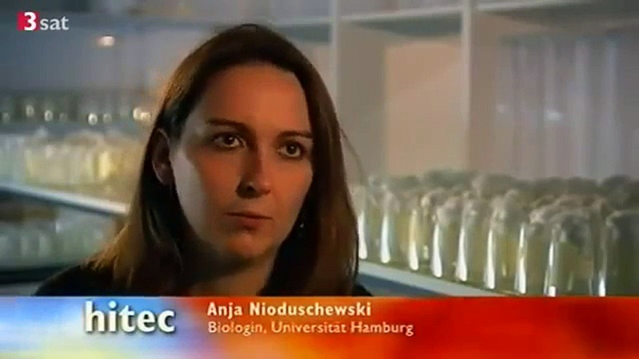 [Doku][Hitec] Hafencity Hamburg - Die Geburt einer Retortenstadt