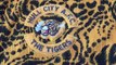 Classic Football Shirts - Hull City Tiger Print 1993/94