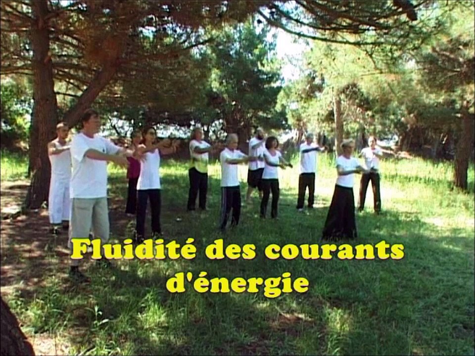 qigong- tai chi 2015