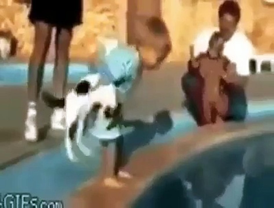 bazen bizi baya şaşırtabiliyorlar..