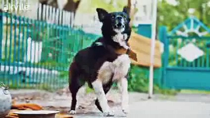 Animals voiced by kids (super cute water advert)