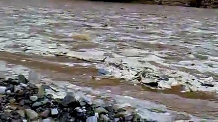 تويوتا اف جيه يقطع سيل جارف