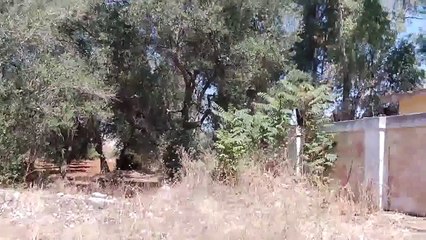 Ugento : Tipica stazione da Far West "DESERTA"