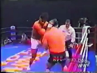 Alistair Overeem Highlight
