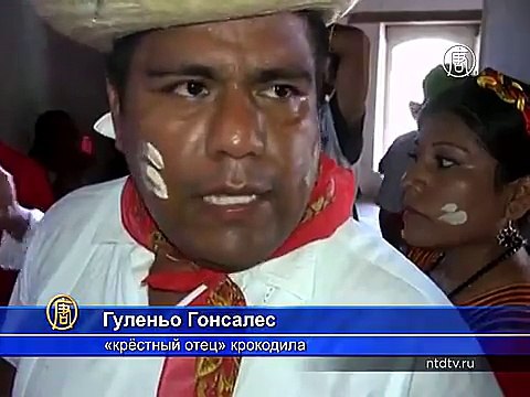 Мексика: мэр женится на крокодиле ради урожая