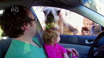 NatGeo: Animals Gone Wild Promo