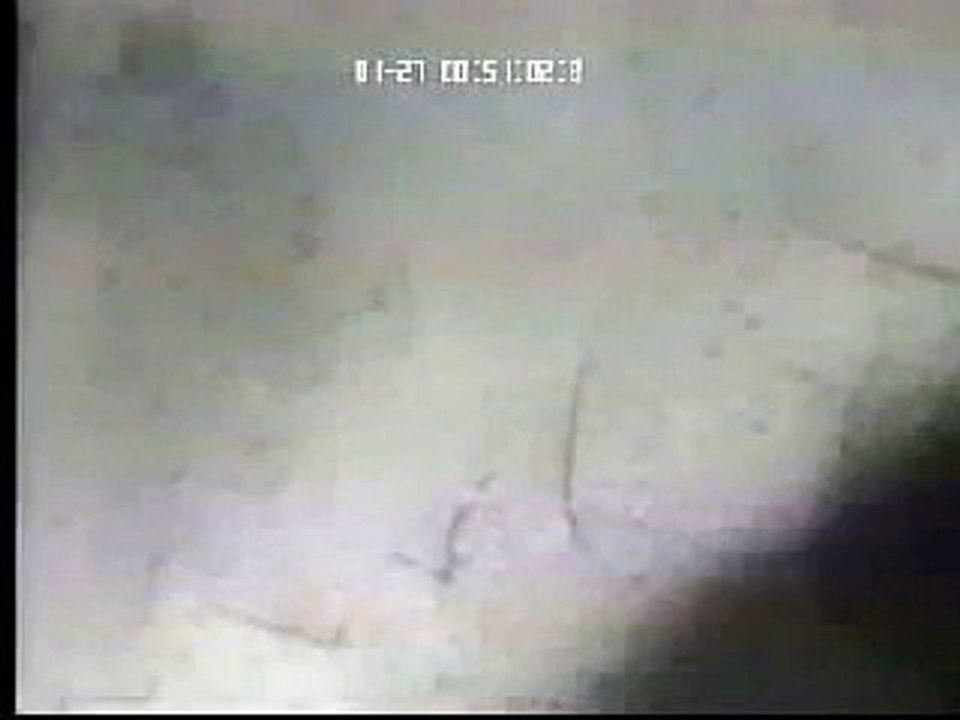 Dislocation motion: hot-stage transmission electron microscopy