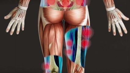 Herniared disk lower back pain kinesiotherapy los angeles las vegas