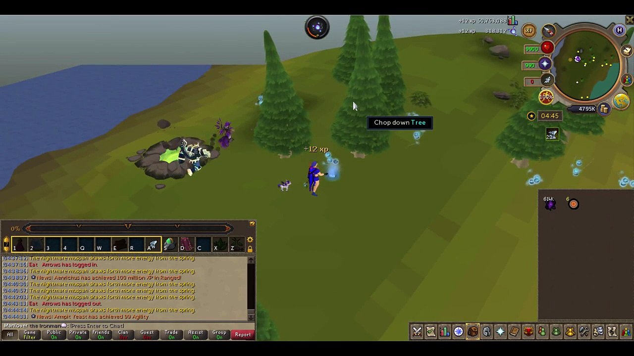 Manlover's Guide to Ironman (Maxing an Ironman In ~85 Days)