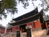 Shaolin Temple Wushu Kung Fu and Vegetarian Diet