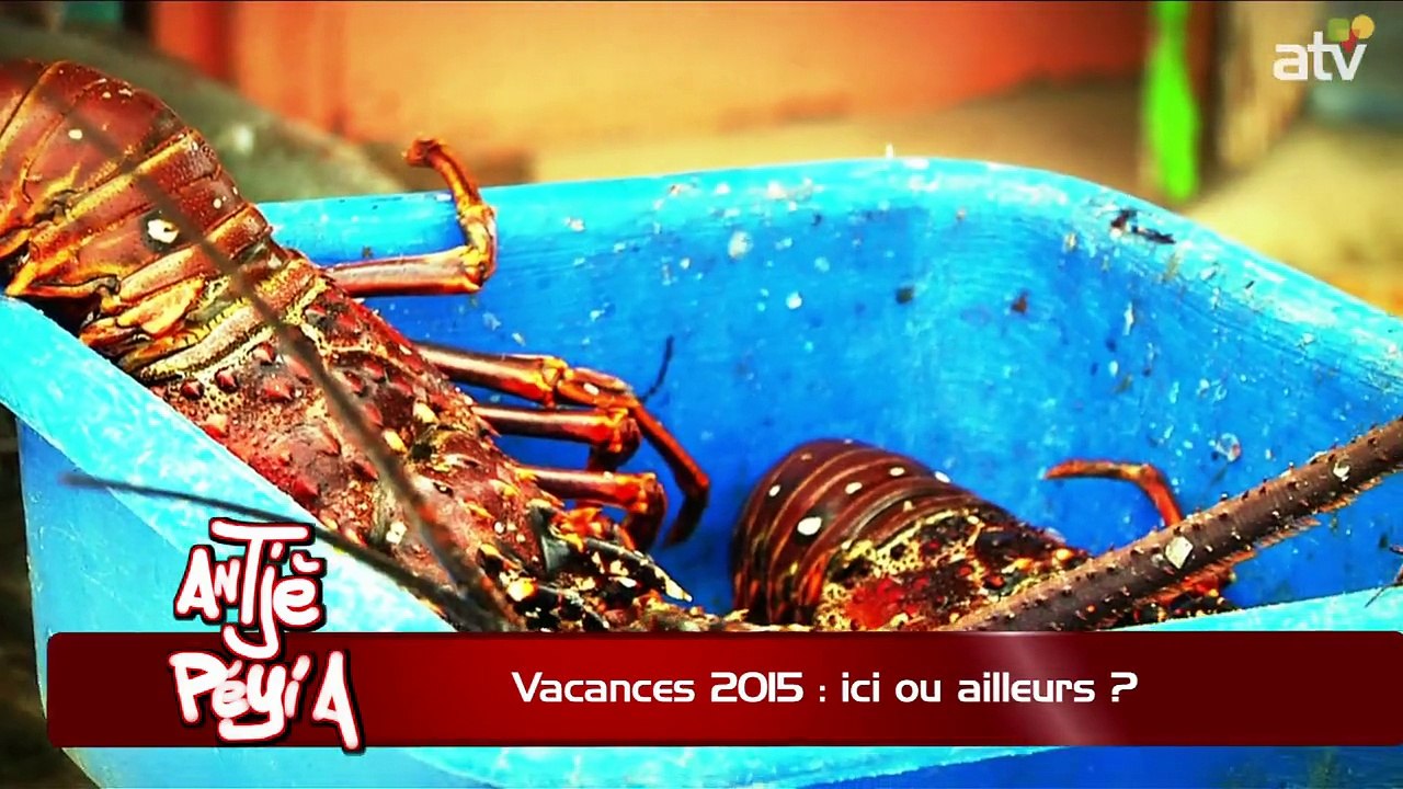 ATPA 02 07 15 VACANCES 2015 ICI AILLEURS GAETAN PADERNA OK