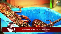 ATPA 02 07 15 VACANCES 2015 ICI AILLEURS GAETAN PADERNA OK