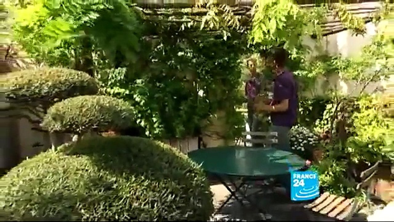 فن اقامة الحدائق بالمساحات الصغيرة