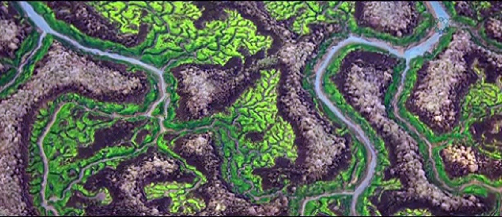 La Isla mínima