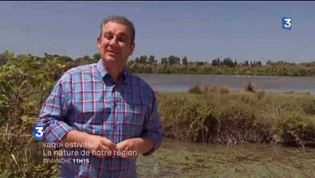 VAQUI Estivales : la nature de notre région (bande annonce)