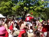 UC Davis Picnic Day 2009- Battle of the Bands- stanford drum contraption