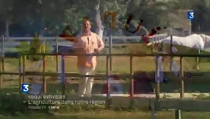 VAQUI Estivales : l'agriculture de notre région (bande annonce)