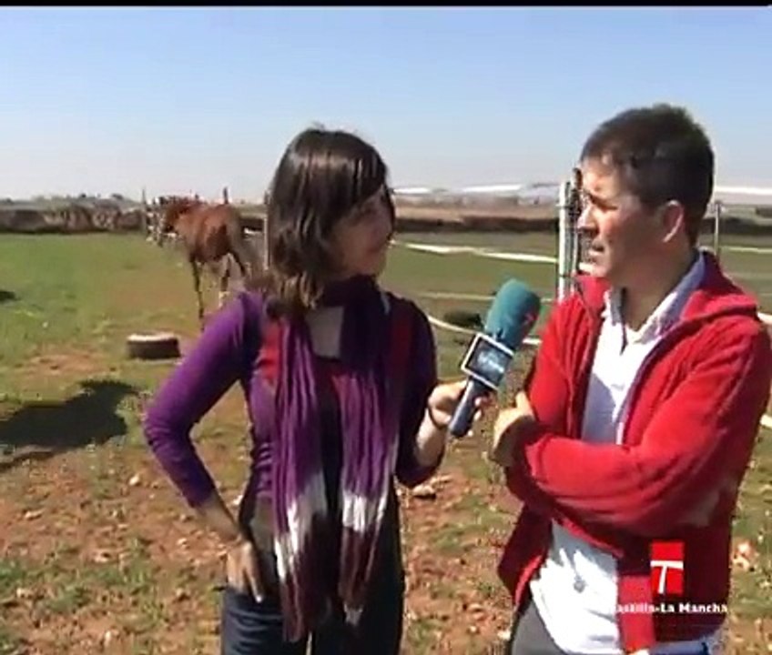 CABALLOS DE CARRERAS