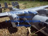 Japanese Northrop  Grumman  E-2 Hawkeye paperplane destroyed.