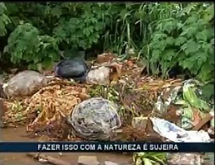 Meio Ambiente