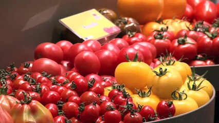 Dijksma blikt terug op succesvol bezoek Berlijn