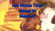 Response To Bearstown On Mexico Not Having Gangs LOL