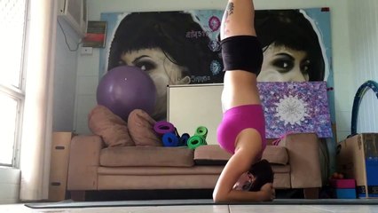 Un chat fait le beau pendant une séance de yoga