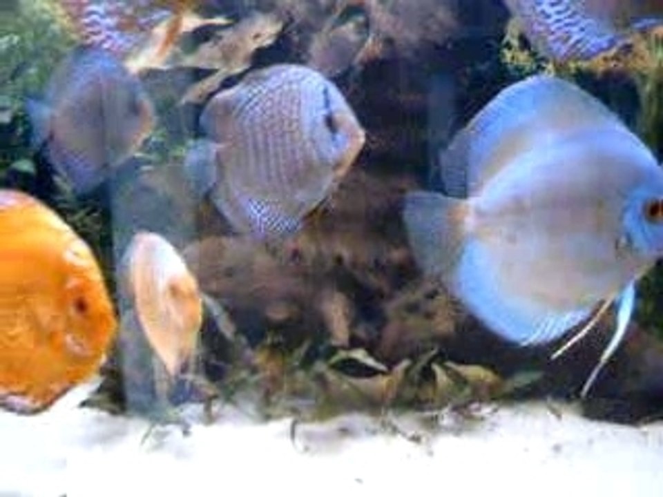 Photo 015