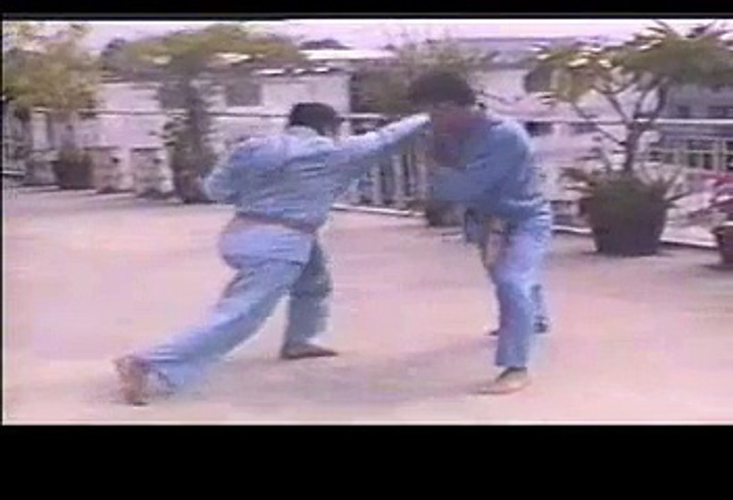 Song luyện 1 (Vovinam Việt Võ Đạo)