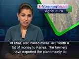 British Ban on Khat Angers Kenyan Farmers : Learning English