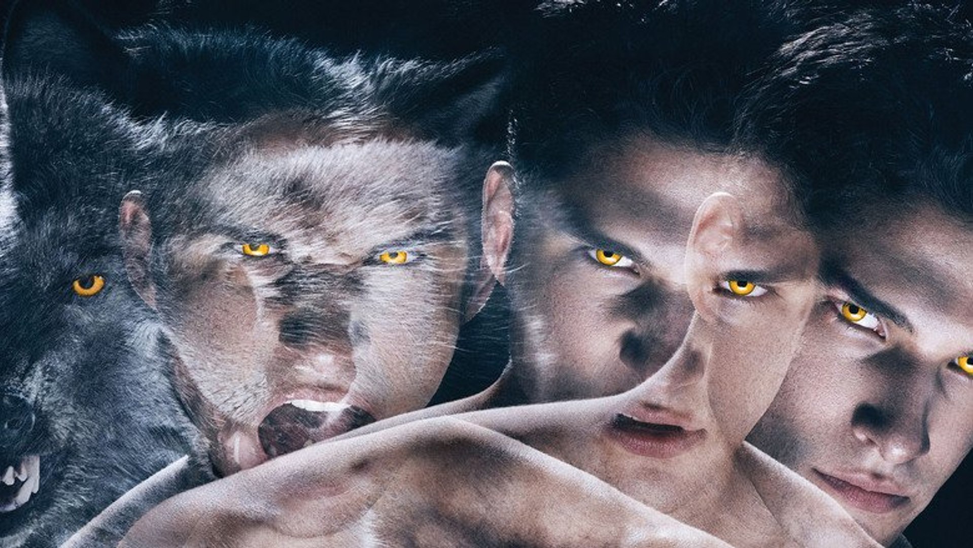Wolf watch season 1 episode 1 dailymotion new arrivals