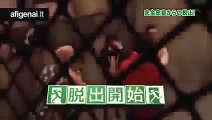 Japan Funny Video Crazy Japanese TV Show Japanese Prank Floor Dissapears