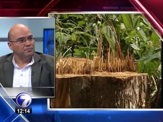 Entrevista: Presidente de Comisión de Ambiente del Congreso se refiere al caso Crucitas