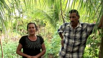 La FAO y la Agricultura Familiar: el caso de El Salvador