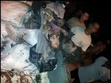 فيديو عاجل : الجرذان المشوية :o كتيبة مراد الغرسلي الارهابية تم القضاء عليها !!  18