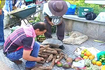 26 de junio de 2015 Gudalupe Santander Fiestas del campesino.