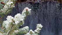 Наша Сибирь HD: Первый снег