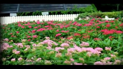 (來去鄉下住一晚)2011~日本JAPAN九州自由行 ~觀光影片(明道數位系葉政杰).avi