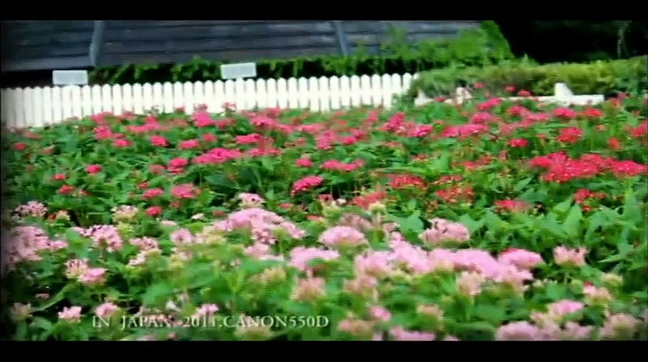 (來去鄉下住一晚)2011~日本JAPAN九州自由行 ~觀光影片(明道數位系葉政杰).avi