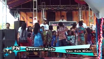 Organ Permana Nada SECAWAN MADU by ESIH WIDURI @ Clip As Productions